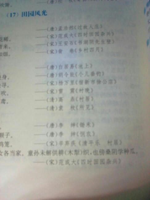 描述乡村风光的好句子