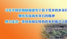 滴水穿石精神的名言