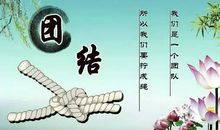 团结协作的谚语