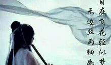 医妃独步天下经典句子