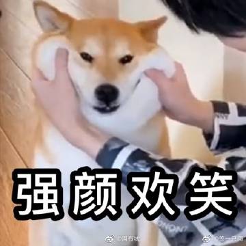 倾盆大雨