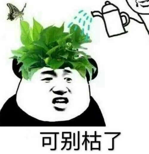 谈论朋友的美好圈子