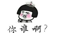 歇后语动物鸭子