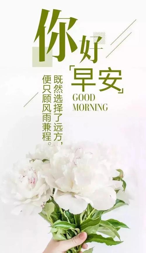 早上好