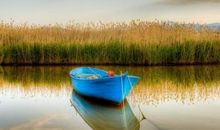 2019最新伤感qq签名