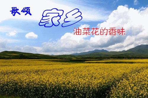像故乡的句子