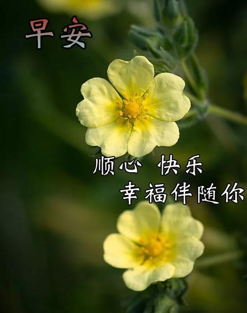 问候