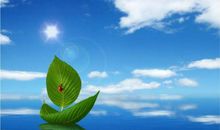 形容淡定从容的句子