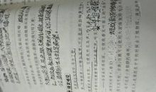 高级版的拟人句