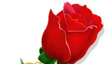 祝福别人情人节快乐