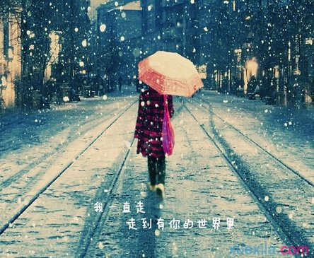 冬季风美句