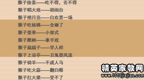 麻雀的腹部过敏