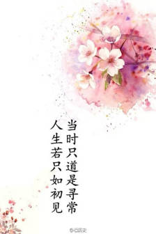 带着悲伤的青春气息