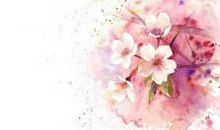 青春唯美语句淡淡忧伤