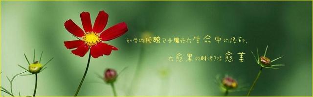 晚上很安静