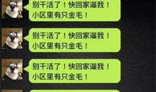 晚上关心女朋友短信