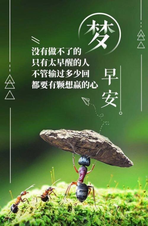 2020年生活励志句