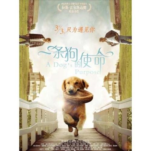狗的经典经文