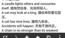 友情的谚语的英文翻译