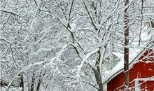 描写冬季寒冷的句子