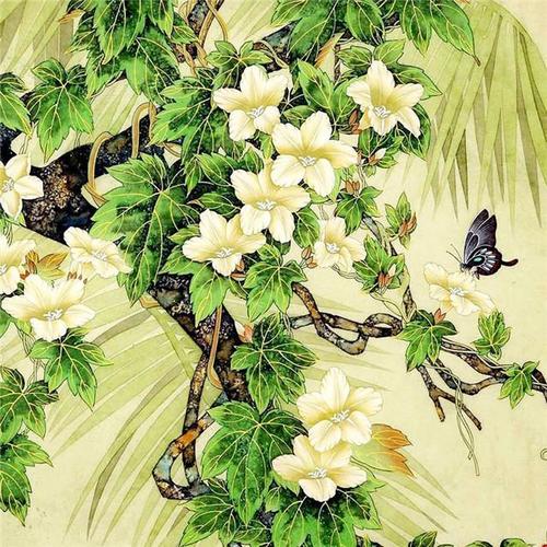 七月莲花的寓言词