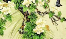 七月荷花的歇后语