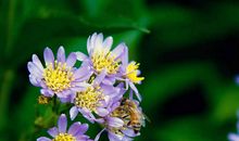 最小说经典语录2020