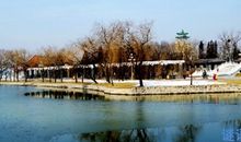 动物预测天气的物候谚语