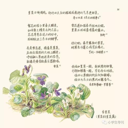关于物候学的谚语