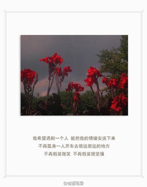 放弃你的句子