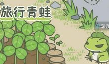 关于青蛙比喻句