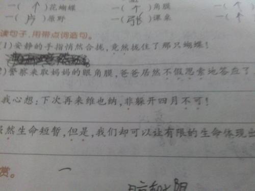 我最好的一句话