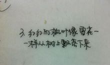 写小树的比喻句