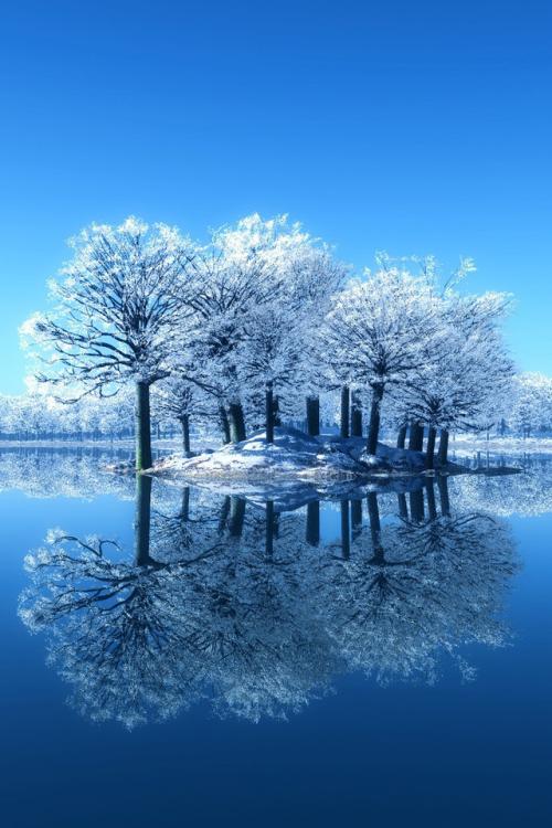 片段描绘了冬天的雪