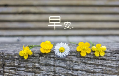 写一个早上好
