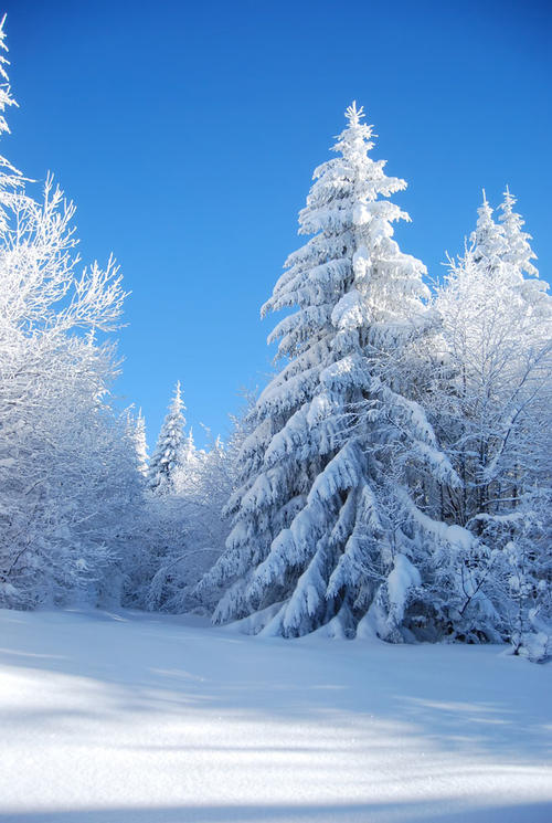冬季雪景寓言