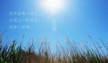 描写春景的唯美句子