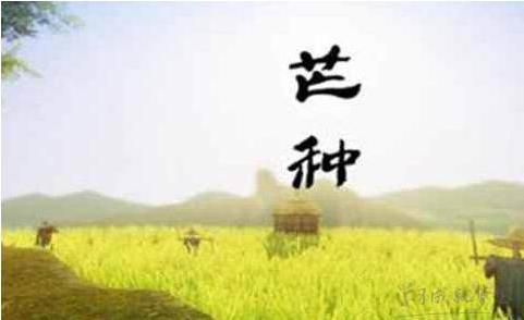 关于秋季节气的谚语
