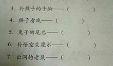 写一句有关老鼠的歇后语