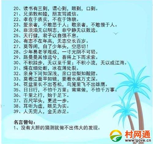 像水中的鱼