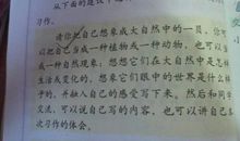 写冬风的比喻句