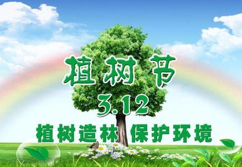 爱绿色护绿色环保口号