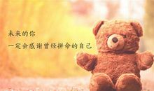 成功就像学走路,只有经常摔倒,最后才能真正的爬起来