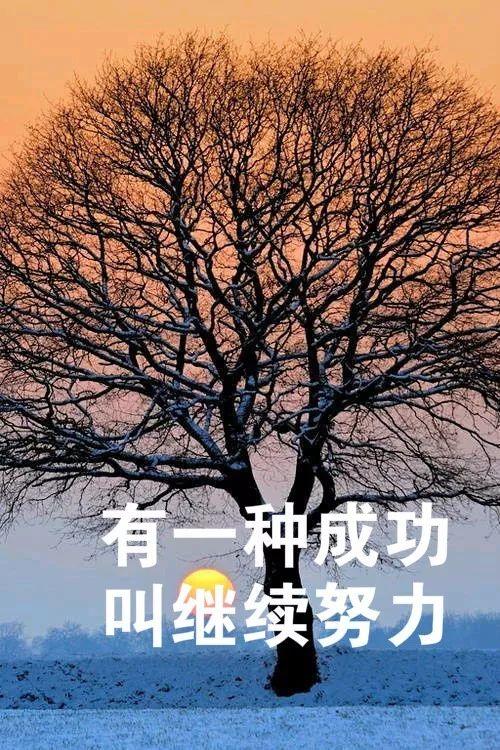 正能量职业经典句