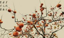 用柿子写比喻句