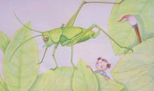 如何种庄稼的谚语