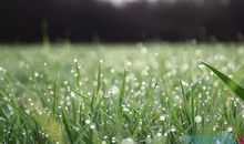 描写沙滩的优美段落