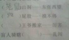 与十二生肖有关的谚语