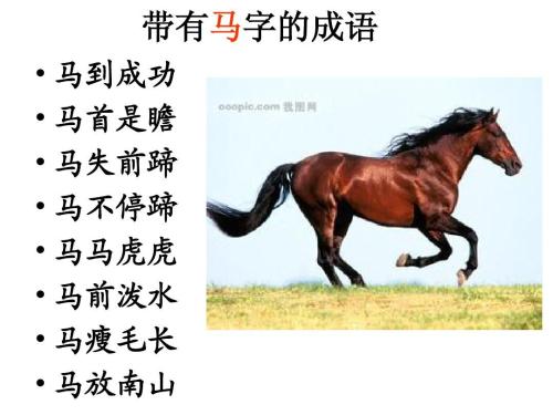 马年有趣的问候