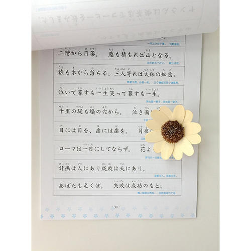 谚语
